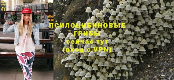 тгк Рославль