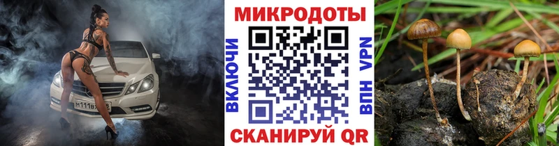 Галлюциногенные грибы MAGIC MUSHROOMS Свирск