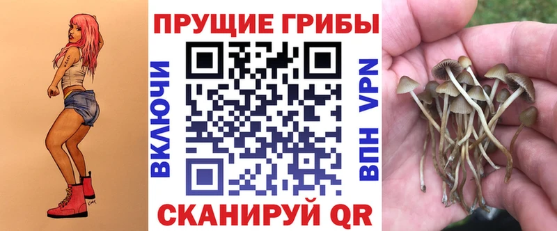 Галлюциногенные грибы Psilocybe  это официальный сайт  Свирск 