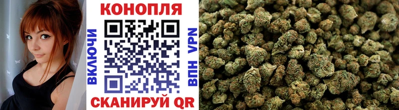 Бошки марихуана семена где продают Свирск